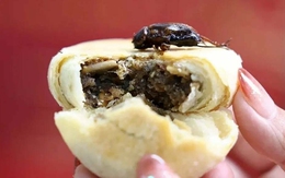 Bánh trung thu nhân dế ở Trung Quốc gây chú ý