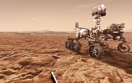Một sinh vật Trái Đất có thể sống trên Sao Hỏa hiện tại