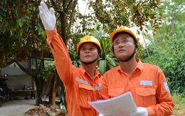 Lịch cúp điện TP. Cần Thơ từ ngày 30/10 – 2/11/2025: Chỉ những khu vực này bị cúp điện 4 ngày cuối tuần