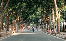 Ngắm phố Phan Đình Phùng trong những ngày đầu đông