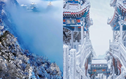 Khung cảnh "đường phân chia âm dương" đẹp đến nín thở, hai mùa cách nhau chỉ một sợi chỉ