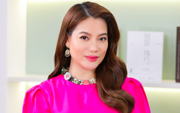 Sự nghiệp diễn viên Trương Ngọc Ánh trước khi vướng vòng lao lý