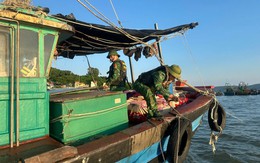 Quảng Ninh huy động hàng chục nghìn người, phương tiện ứng trực bão số 11