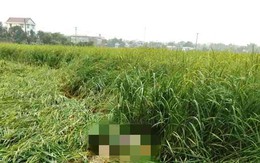 Người đàn ông tử vong trên cánh đồng, mảnh giấy gần đó hé lộ danh tính