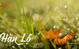 Những điều nên kiêng kỵ và thực phẩm bổ dưỡng trong tiết Hàn Lộ 2025 để giữ sức khỏe mùa chuyển lạnh