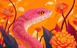 Thần Tài đến muộn: 3 con giáp sau 45 tuổi mới thực sự phất lên