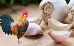 Công dụng bất ngờ của vỏ tỏi trong cuộc sống hàng ngày, ai biết rồi liền vội đi gom vỏ tỏi