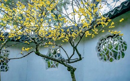 Ngày sinh Âm lịch của người ấm áp, dịu dàng