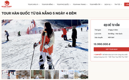 Đại Việt Tourist tổ chức tour Châu Á trọn gói giá rẻ, lịch trình hấp dẫn