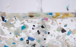 2 loại nước chứa đầy hạt vi nhựa nhưng người Việt lại thích, đa số uống mỗi ngày