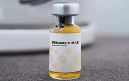 Tin sáng 13/11: Bền bỉ mua 1 dãy số Vietlott, nam thanh niên trúng gần 134 tỷ đồng; thuốc ung thư của Nga vừa được cấp phép tại Việt Nam có tên là gì?