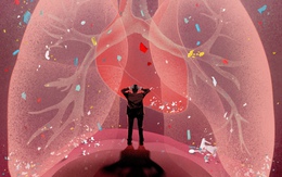 Hạt vi nhựa tàn phá cơ thể ra sao? Đây là 4 nguy cơ đáng sợ