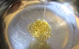 Uống mật ong vào buổi sáng: Không cần cầu kỳ, đây là cách pha giúp thải độc, giảm ho và viêm họng hiệu quả nhất