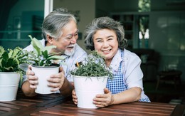 Sau khi nghỉ hưu, người thực sự khôn ngoan và tài giỏi sẽ làm tốt 10 điều này