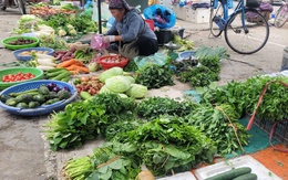 Gia đình thu nhập thấp xoay xở thế nào khi rau xanh là mặt hàng rẻ nhất cũng trở thành xa xỉ sau bão?