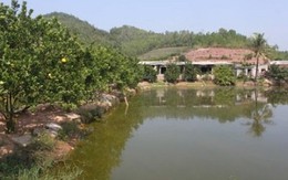 Lấp ao xây nhà là tốt?