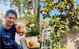 Loại cây trấn trạch hút lộc được 'ông hoàng nhạc đỏ' Trọng Tấn trồng đầy trong vườn nhà