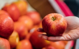 Mẹo bảo quản táo tươi suốt mùa đông của chuyên gia làm vườn