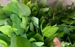 Loại rau được khuyên ăn thay đạm động vật, nhiều sắt hơn cả thịt bò