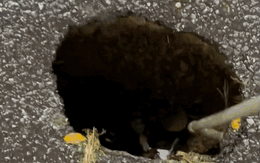 Hà Nội: Xuất hiện hố sụt lớn trên đường Trần Hưng Đạo