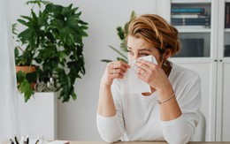 Cố che giấu lỗi lầm bằng một đám cưới giả, tôi đánh mất cả gia đình