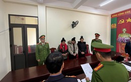 Sơn La: Dùng xe máy đi hái trộm 295kg cà phê, 3 phụ nữ bị khởi tố