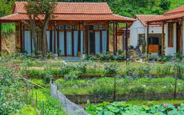 Nữ quản lý bỏ phố về quê để nghỉ hưu sớm với 11 tỷ: 3 năm sau hối hận quay lại thành phố tìm việc