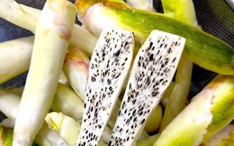 Chỉ từ 25.000 đồng/bó, đặc sản 'sâm trong nước' của Ninh Bình chế biến đủ món ngon ngày lạnh, ăn là nghiền