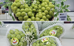 Cách phân biệt nho sữa Hàn Quốc nhập khẩu chính ngạch với nho sữa không rõ nguồn gốc, xuất xứ