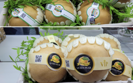 Chỉ một thao tác để phân biệt lê Hàn Quốc nhập khẩu chính ngạch và lê không rõ nguồn gốc