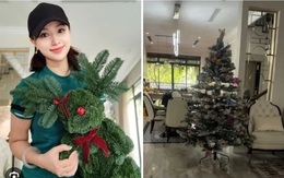 MC Thanh Vân Hugo lại gây bất ngờ với phần trang trí cây thông Noel sớm