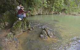 Bí ẩn hang 'cá thần' với hàng nghìn con thay đổi màu da theo thời tiết đang chờ khám phá