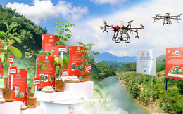 Triệu đôi tay góp sức cùng OMO hoàn thành sứ mệnh trồng 1 triệu cây xanh trên khắp Việt Nam