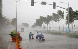 Tin sáng 29/11: Bão số 15 diễn biến phức tạp; dự kiến có thêm bậc trong khung năng lực ngoại ngữ