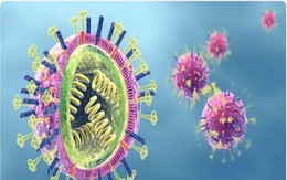 3 người trong 1 gia đình nhập viện vì cúm A: Bác sĩ chỉ rõ dấu hiệu báo bệnh và cách phòng ngừa biến chứng