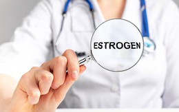 Estrogen có liên quan gì đến ung thư vú?
