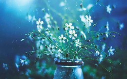 Tháng sinh Âm lịch là 'con cưng của Thần Tài': Càng già càng giàu, phúc lộc bền lâu