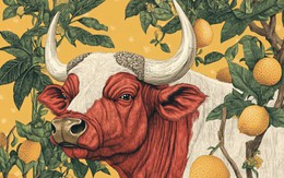 Kỷ luật thép: Chìa khóa vàng giúp 4 con giáp này vươn tới đỉnh cao danh vọng