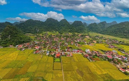 Lễ hội mùa vàng Bắc Sơn: Tôn vinh giá trị văn hóa bản địa
