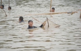 Hà Nội: Trai tráng ở Phúc Thọ hò reo bắt cá trên sông Tích Giang dưới trời lạnh