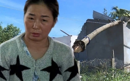 Vợ bất lực nhìn chồng bị tường đè tử vong trong cơn bão dữ