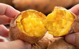Biểu hiện bất thường của người phụ nữ ăn khoai lang mỗi ngày suốt nhiều năm