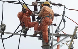 Lịch cúp điện Cà Mau (Bạc Liêu cũ) từ ngày 10-16/11/2025: Chi tiết những khu vực nằm trong diện bị cúp điện trong tuần