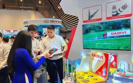 Cáp ngầm trung thế CADIVI được giới chuyên môn đánh giá cao tại Hội nghị điện lực 2025