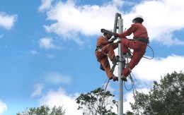 Lịch cúp điện Vĩnh Long (Trà Vinh cũ) từ ngày 1-7/12/2025: Cúp điện 10 tiếng/ngày nhiều tuyến đường và khu dân cư để sửa chữa, bảo dưỡng lưới điện