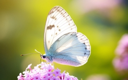 Ngày sinh Âm lịch của người giàu bạn bè, thăng tiến nhờ luôn có đồng đội đáng tin