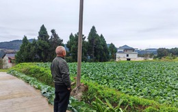 Lương hưu 25 triệu nhưng về quê phải giấu nhẹm: Quyết định giúp tôi thoát vòng thị phi