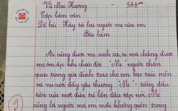 Bài văn tả mẹ đạt 9 điểm gây 'sốt' mạng, tinh tế nhất là lời phê của giáo viên