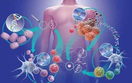 6 loại rau rẻ tiền, mùa đông người Việt nên ăn để ngăn ngừa tế bào ung thư