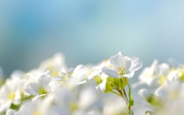 Ngày sinh Âm lịch tiết lộ số mệnh: Không sớm thành danh nhưng dễ giàu về sau